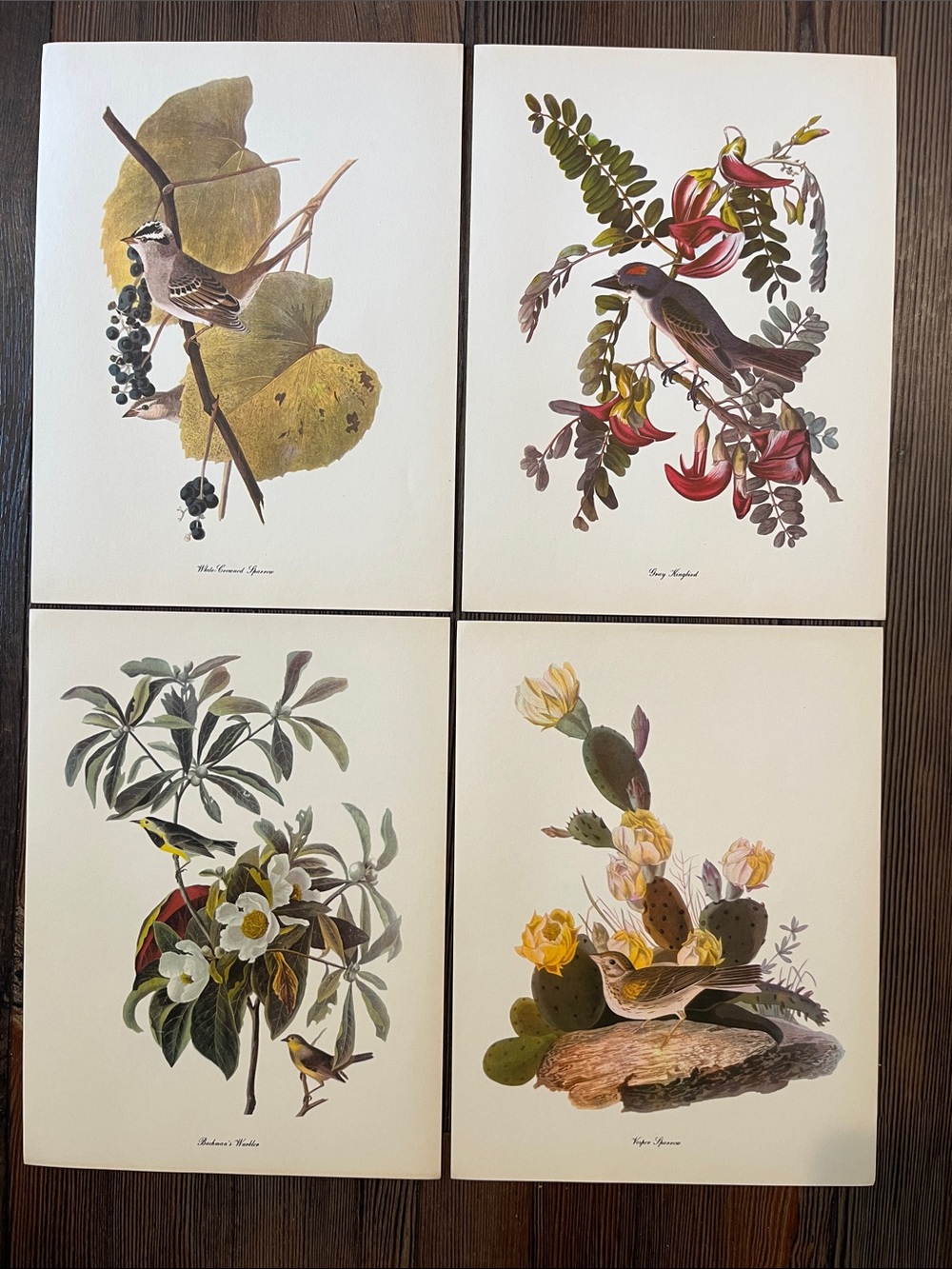 Audubon Birds Of America Prints (L7)